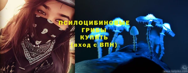 прущий лед Арсеньев