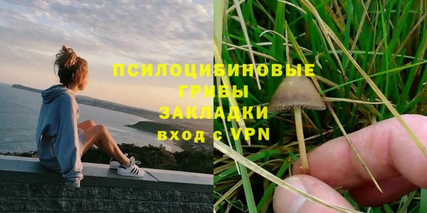 прущий лед Арсеньев