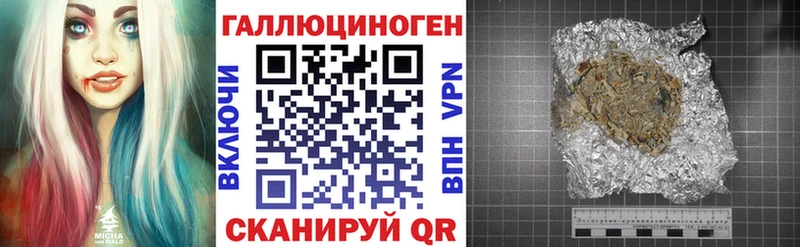 Псилоцибиновые грибы Psilocybe  Спасск 